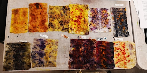 Bundle Dyeing with Plant & Vegetable Dyes | The Art House