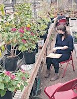Watercolor Workshop:Greenhouse Colors | Queens Botanical Garden