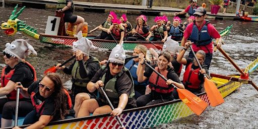 Leeds Dock Dragon Boat Race 2025 | Leeds Dock