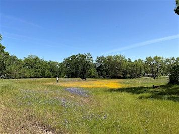 Vernal Pool Explorations | Airport Boulevard