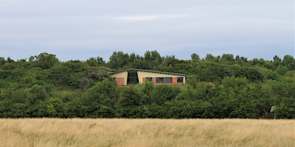 Hauxley guided walk | Hauxley Wildlife Discovery Centre
