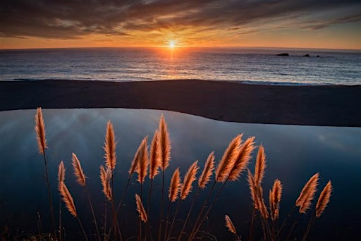 Creative iPhone Photography: Tools, Vision, and Technique | Point Reyes National Seashore