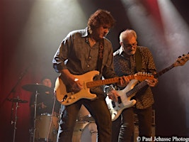 Sean Chambers & the Savoy Brown Rhythm Section at the 443 Social Club | The 443 Social Club & Lounge