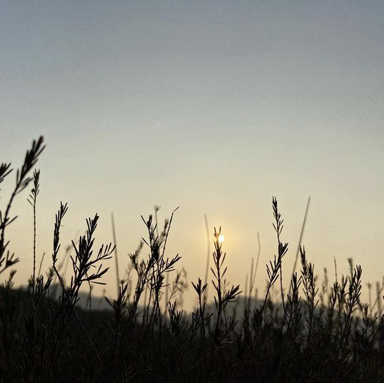 行菠蘿山去白泥睇日落🌄 行菠蘿山去白泥睇日落🌄