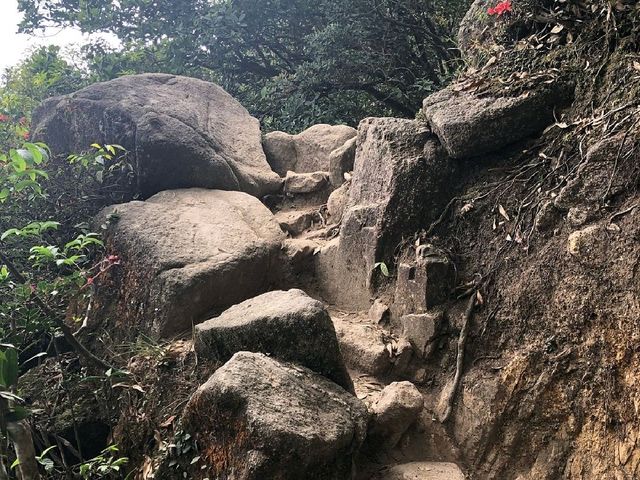 Lion Rock Country Park. 