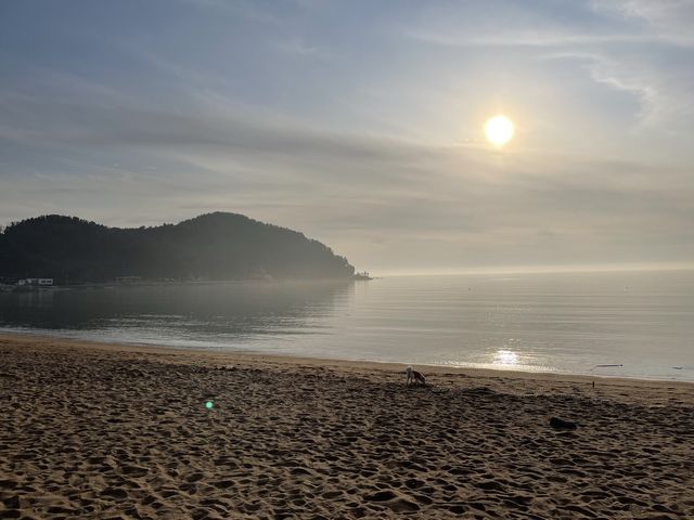 [을왕리 여행]을왕리해수욕장 🦪조개구이 띵조합⭐️