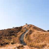 가을 억새 명소 경남 '황매산'🍂🌾