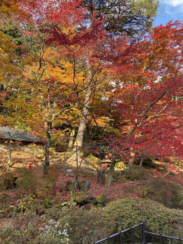 日光東照宮