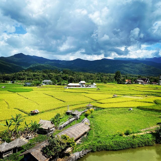 ถนน 1256 - ปัว&บ่อเกลือ ที่สุดของวิวทุ่งนา 