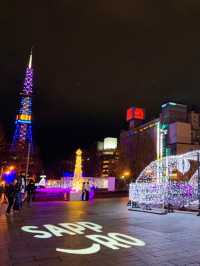 札幌　ホワイトイルミネーション[大通１丁目〜３丁目会場編]