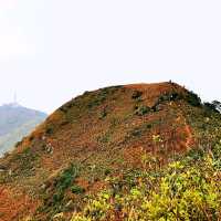 飛鵝山