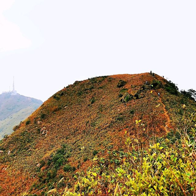 飛鵝山
