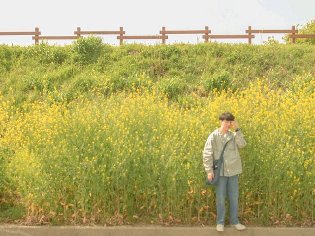 <창원, 주남저수지> 어느 봄