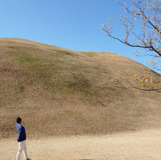 💚경주 대릉원: 찬란한 황금빛 그자체💚