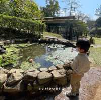 【假子親子遊】與孩子森林漫步 🌳