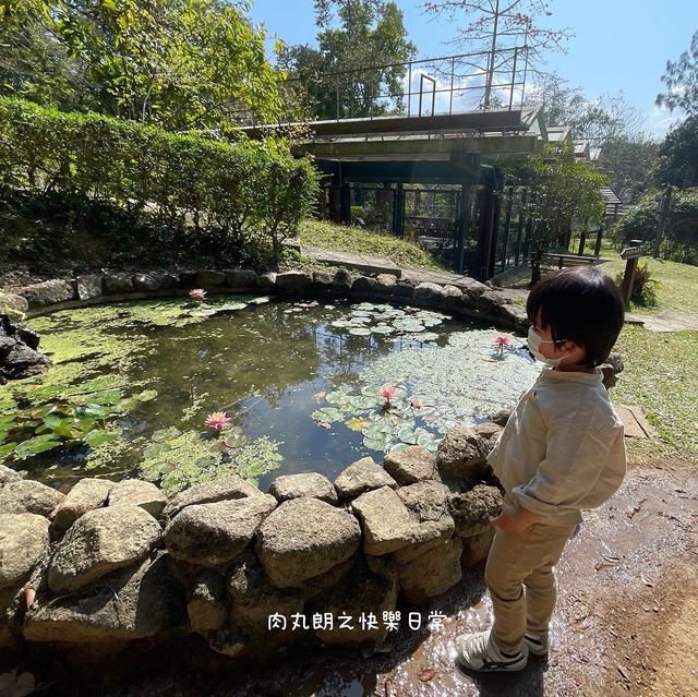 【假子親子遊】與孩子森林漫步 🌳