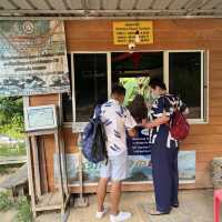 เสม็ดนางชี วิวสุดปัง