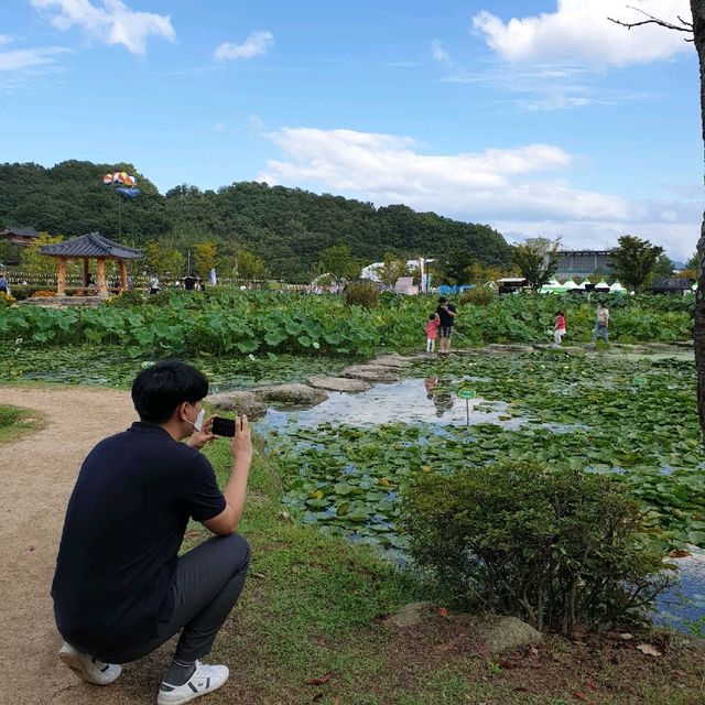 경남 함양 산삼축제에서 여러꽃과 연꽃구경