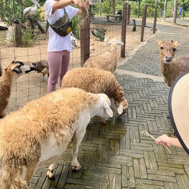 ❤️Happy Family Trip at Bentong Farm❤️