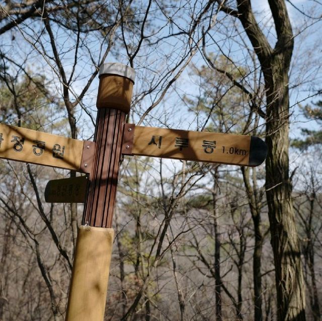 대전 등산 보문산 