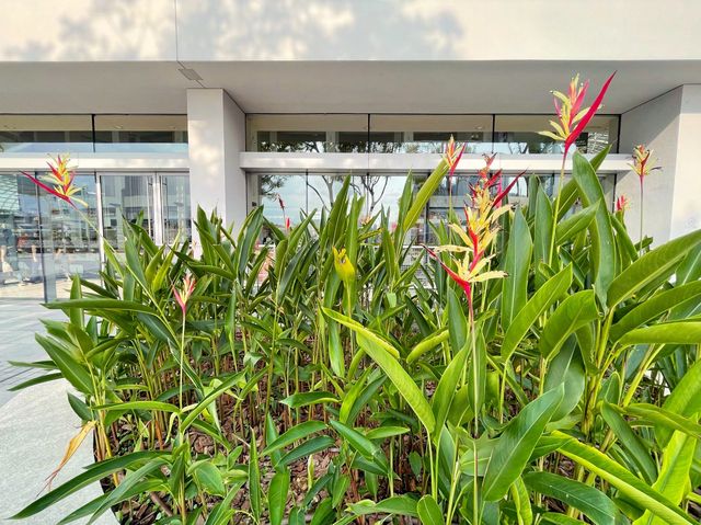 Greenery by the bay