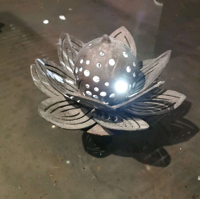 銅鑼灣必食的京川滬菜推介---樂天皇朝