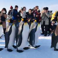 美麗北海道！