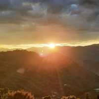 alishan! Nice place to hike and relax 