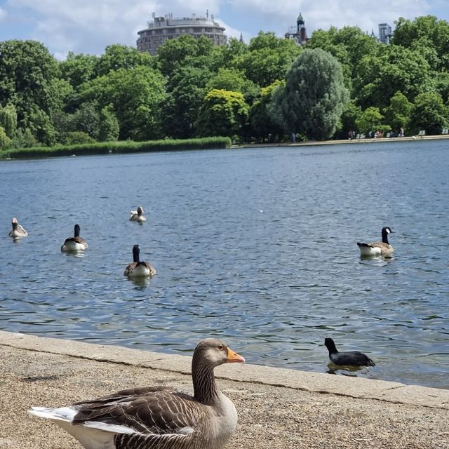A huge park with lots of things to see