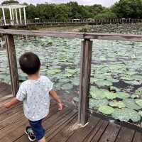 《親子活動～暢遊天水圍濕地公園》