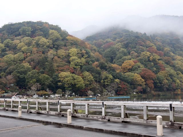 【京都】カラフルな紅葉！秋の嵐山をご紹介