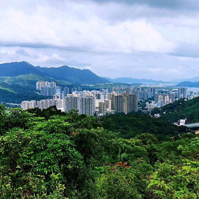 社山