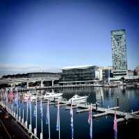 Sydney Harbour front 