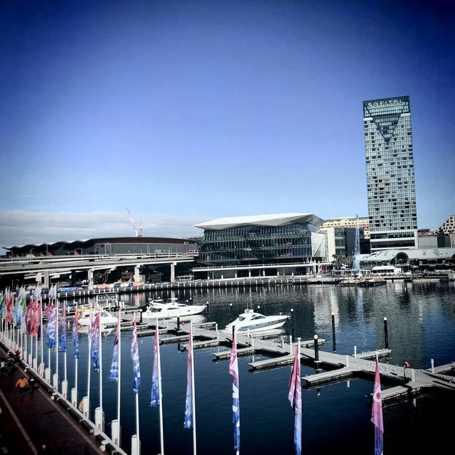 Sydney Harbour front 