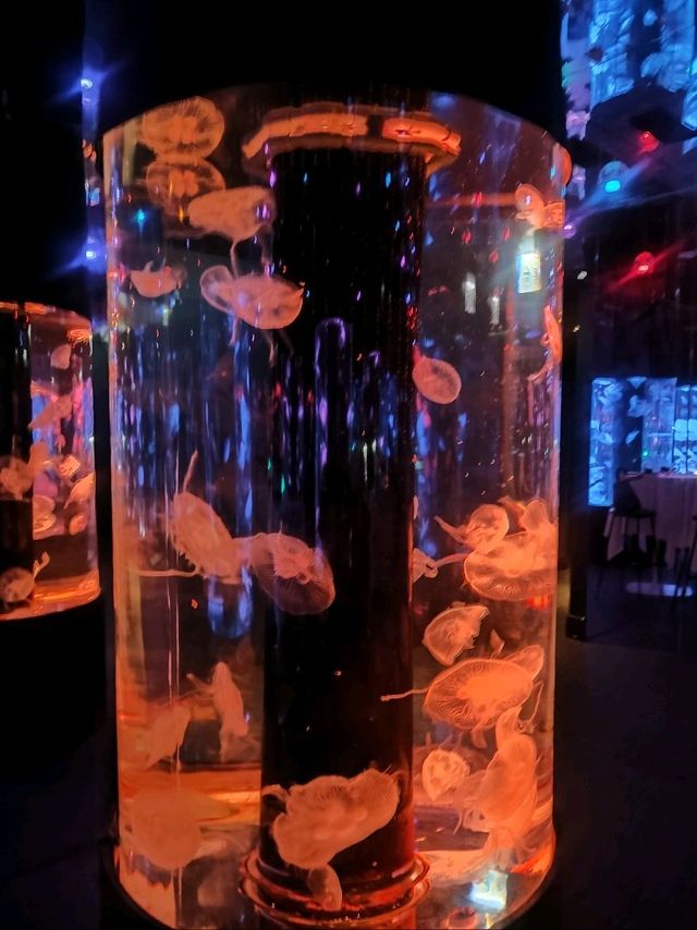 水母偏偏起舞、我優雅吃晚飯 水母偏偏起舞、我優雅吃晚飯