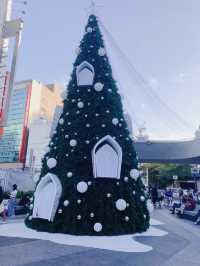 🉑️❤️溫馨的台北捷運中山站線形公園 Zhongshan Linear Park❄️🎄