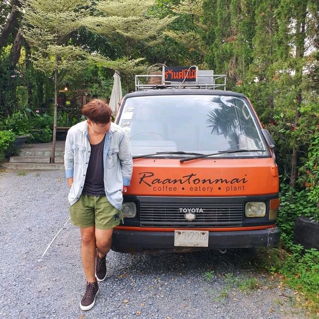 coffee • eatery • plant