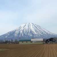 Winter in The Kiroro, Hokkaido, Japan