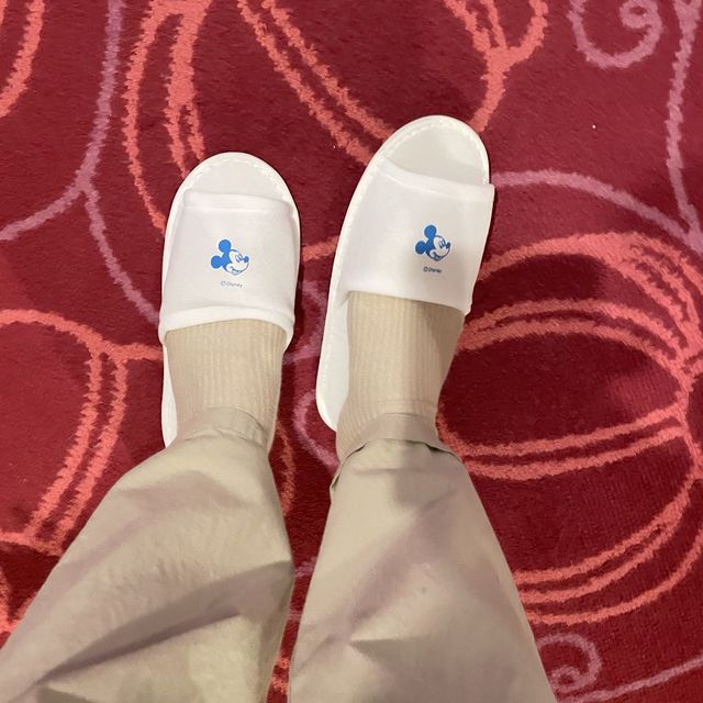 東京ディズニーセレブレーションHOTELオフシャルホテル🏰