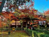 真正極楽寺 (真如堂)