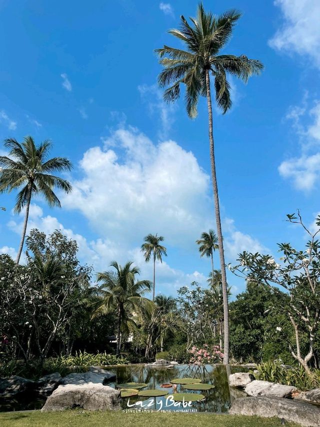 🌿𝑴𝑬𝑳𝑨𝑻𝑰 𝑩𝑬𝑨𝑪𝑯 𝑹𝑬𝑺𝑶𝑹𝑻 & 𝑺𝑷𝑨 
