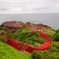 山口県の伏見稲荷？？鳥居が並んでます！