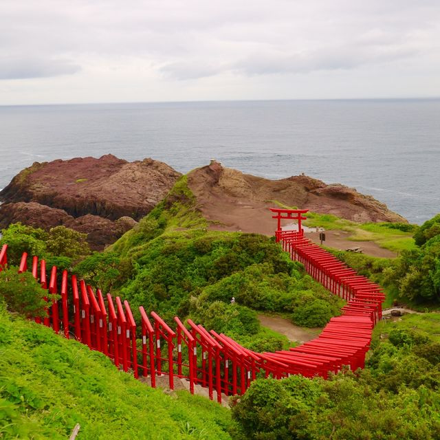 山口県の伏見稲荷？？鳥居が並んでます！