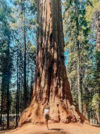 Sequoia National Park