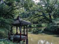 พระราชวังชางด๊อกกุง (Changdeokgung Palace)