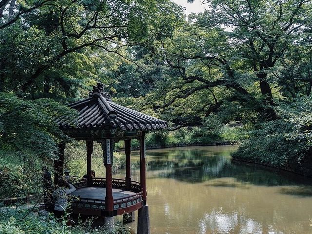 พระราชวังชางด๊อกกุง (Changdeokgung Palace)