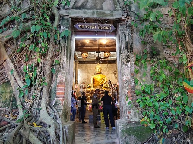 泰國景點-樹中佛寺