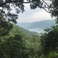 近距離欣賞青馬大橋—青衣自然徑