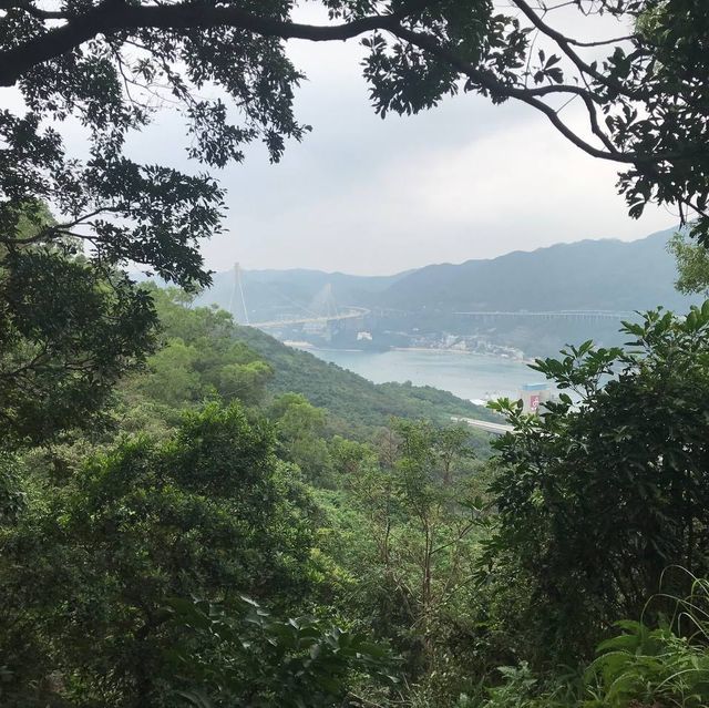 近距離欣賞青馬大橋—青衣自然徑