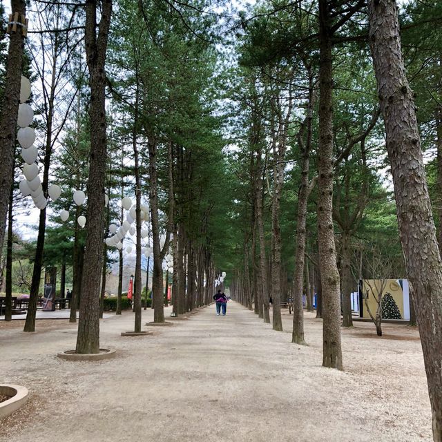 한류의 시작점, 겨울연가의 촬영지 남이섬